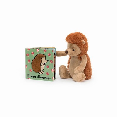 Jellycat If I Were A Hedgehog Board and Bashful Hedgehog Medium New Zealand | TSLPI1368